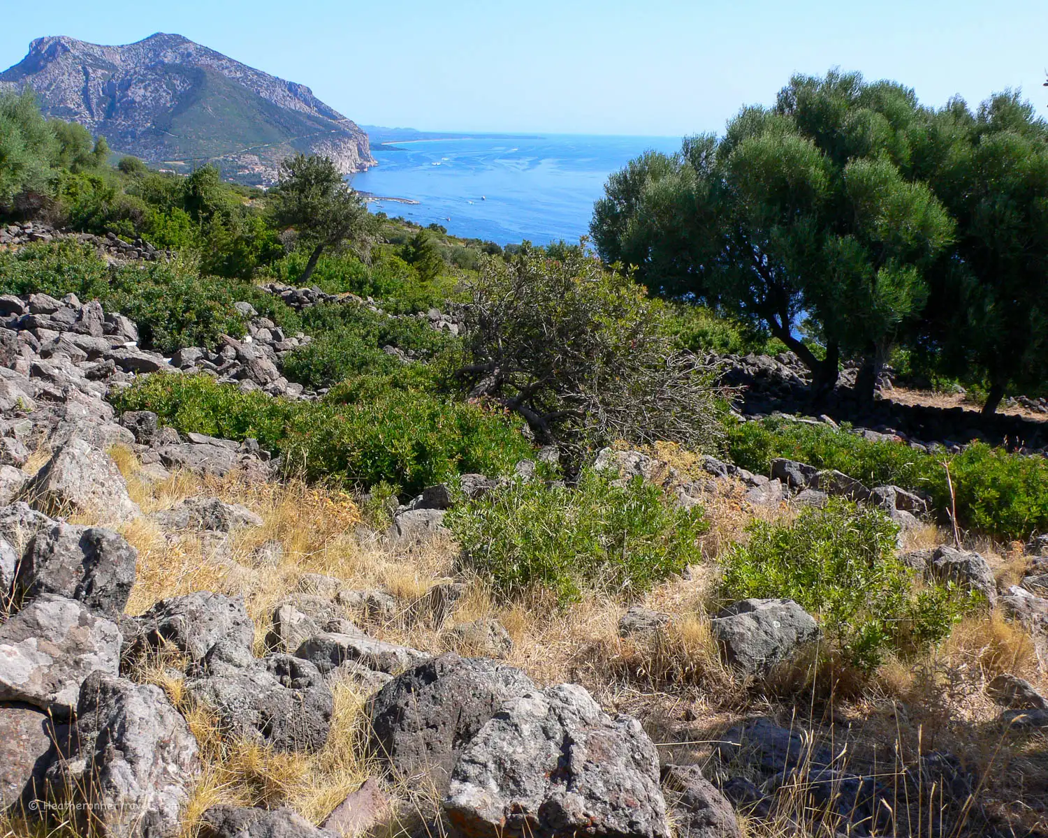 Nuragic village at Nuraghe Mannu