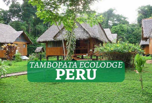 Tambopata Ecolodge Peru