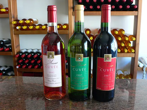 wines-at-chateau-musar-1 Wines at Chateau Musar