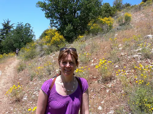 Heather in the Tannourine Cedars Reserve in Lebanon