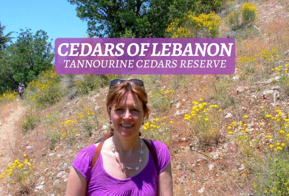 Tannourine cedars of Lebanon featured Heatheronhertravels.com