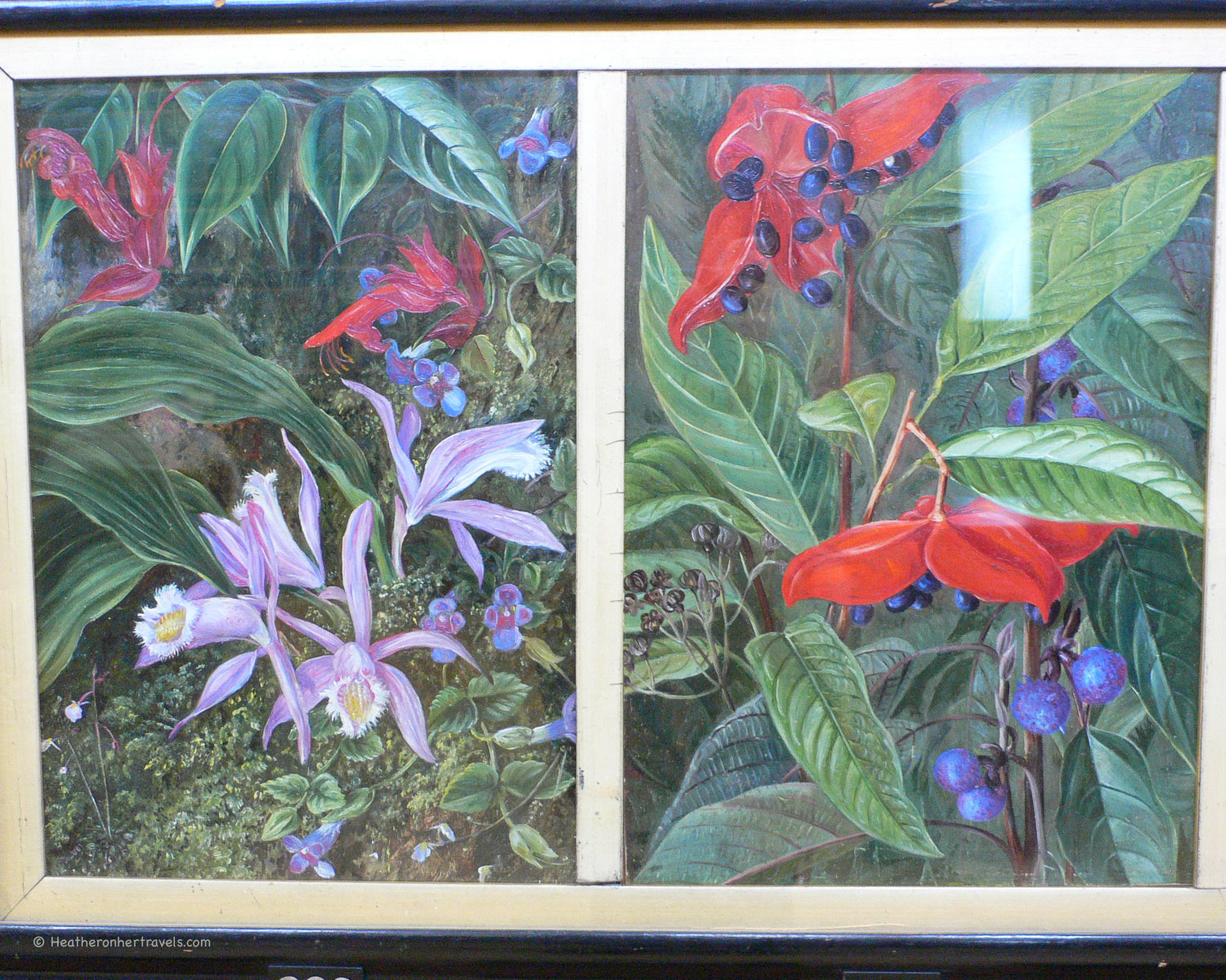 Paintings in the Marianne North Gallery at Kew