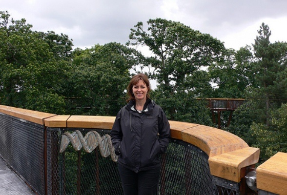 Treetop Walkway at Kew Gardens
