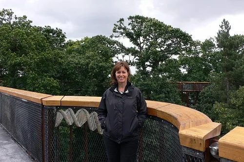Treetop Walkway at Kew Gardens