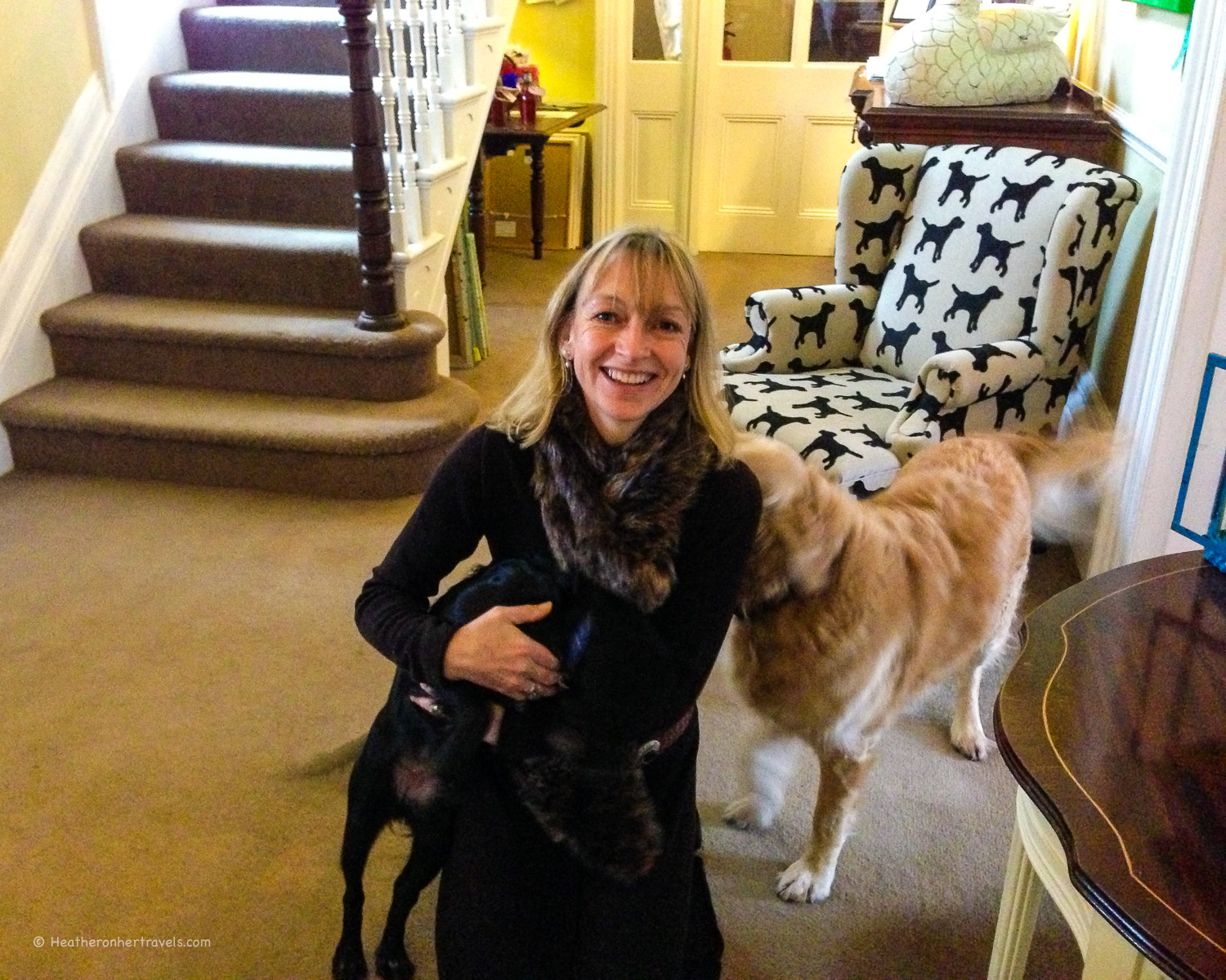 Canine guests at Prince Hall Hotel, Dartmoor