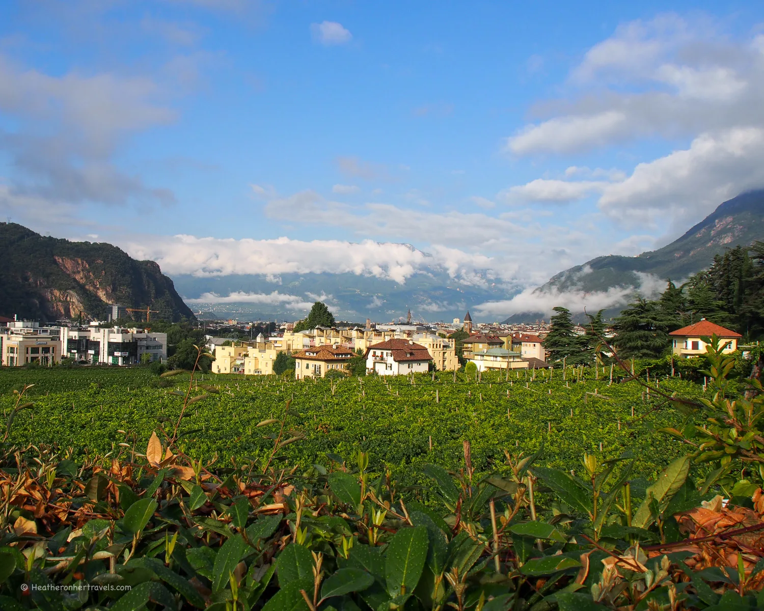 Bolzano in the Dolomites