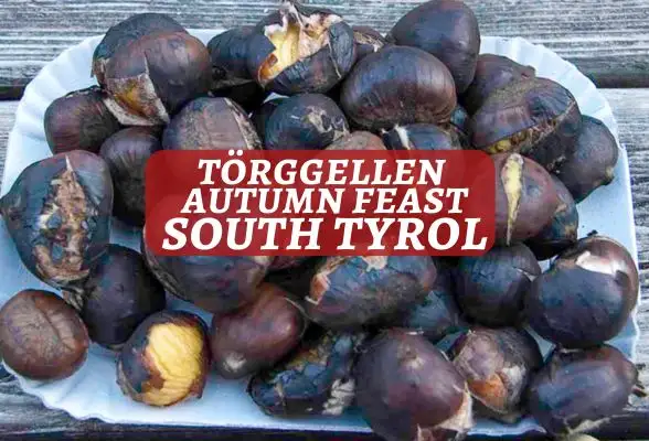 Törggellen feast south tyrol featured