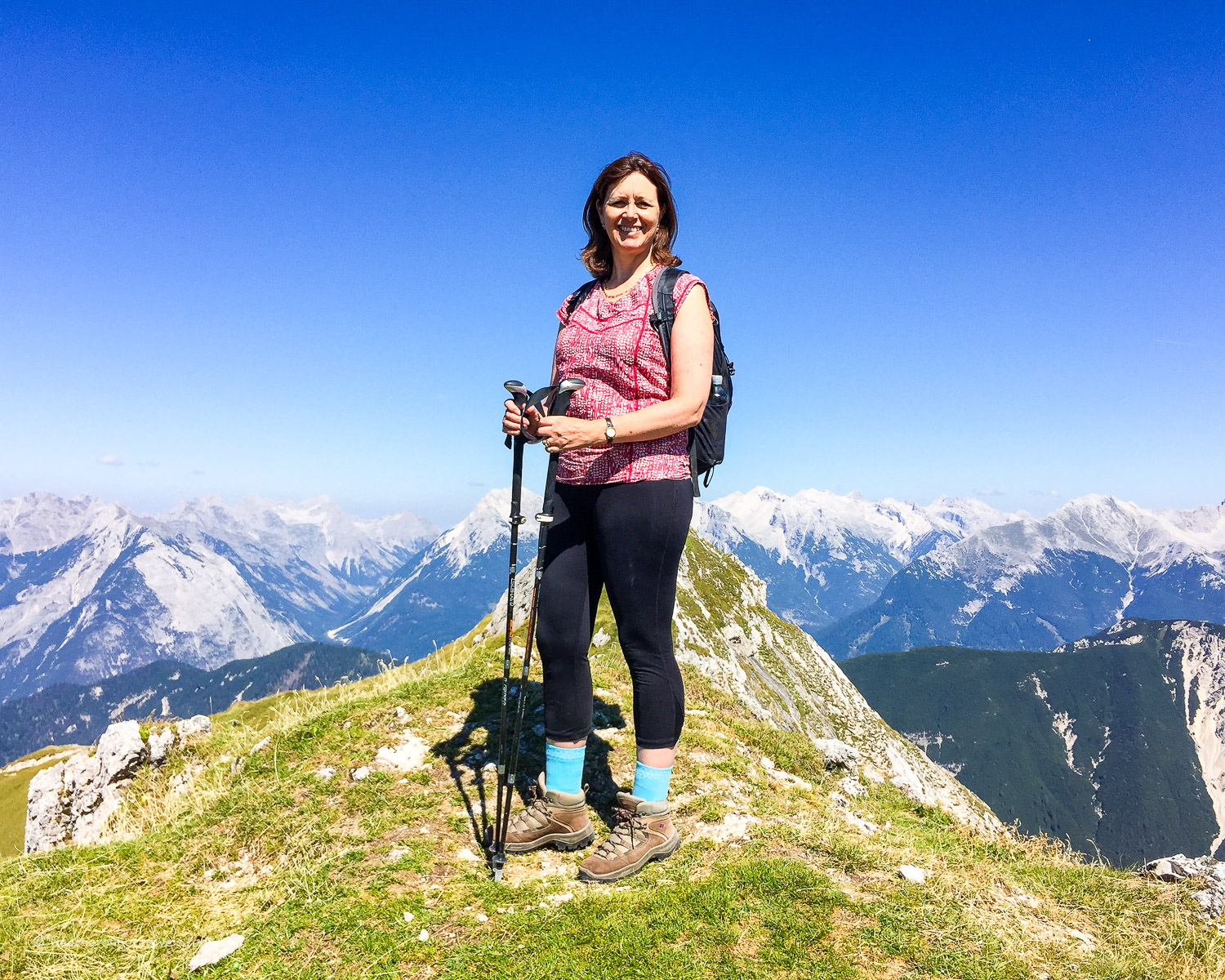 Heather at the top of Seefelder Spitze