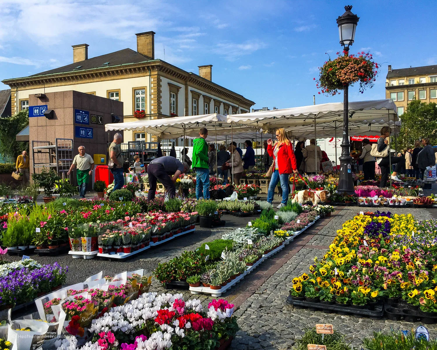 Vegetable Market in Place Guillaume II in Luxembourg Photo: Heatheronhertravels.com