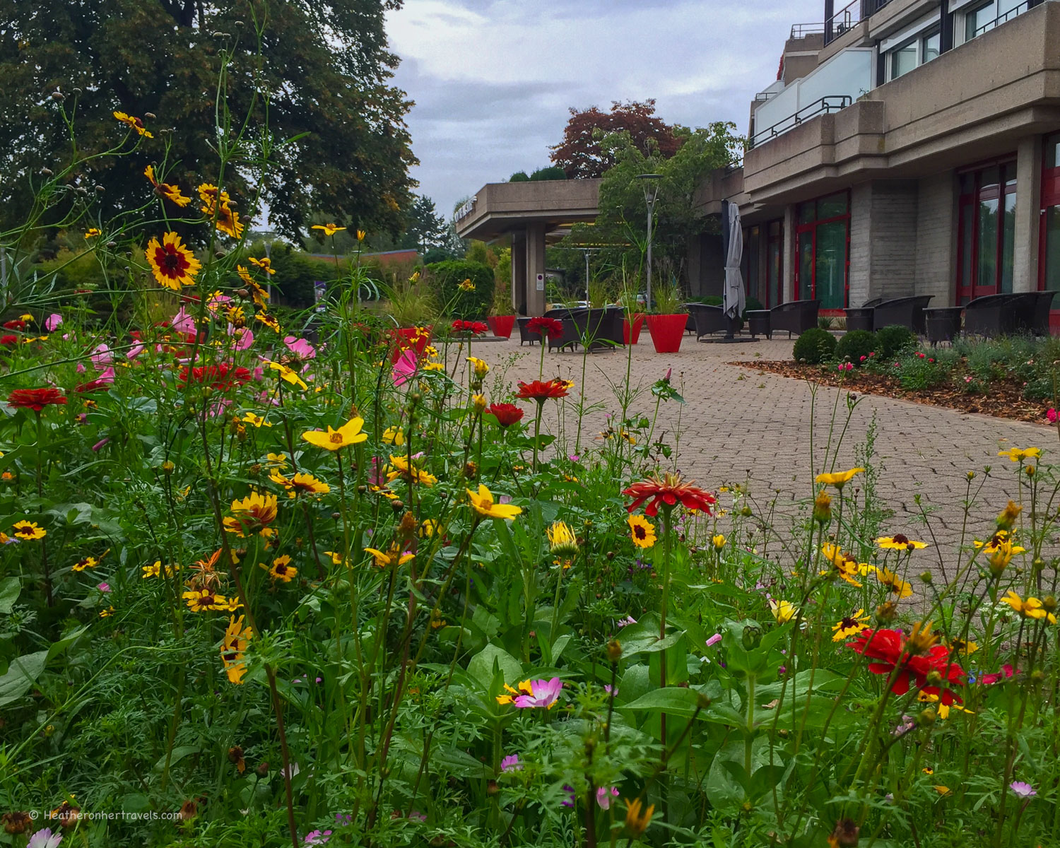 Boat Trip Along the Moselle River in Luxembourg Photo: Heatheronhertravels.com