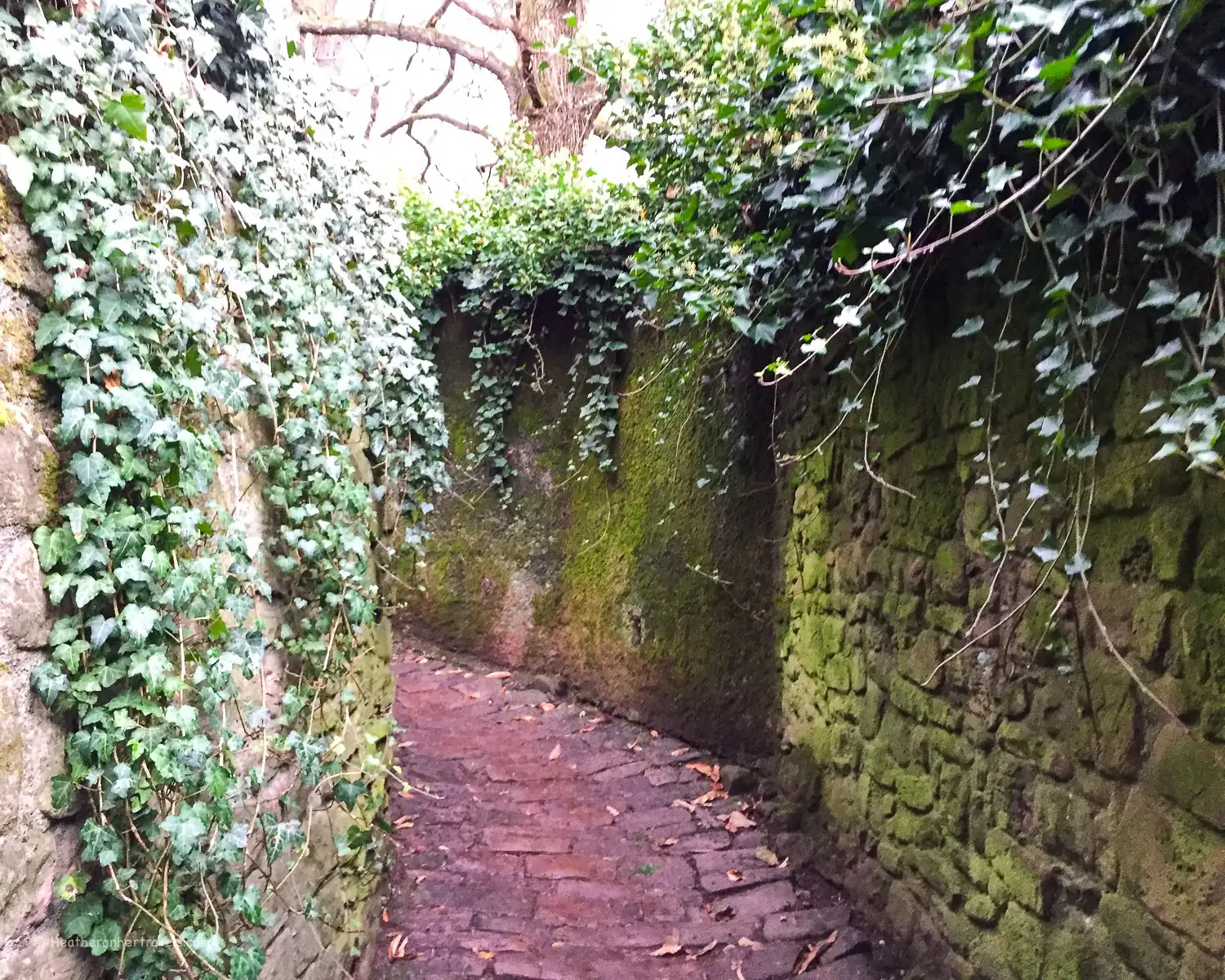 The Philosopher's Way in Heidelberg