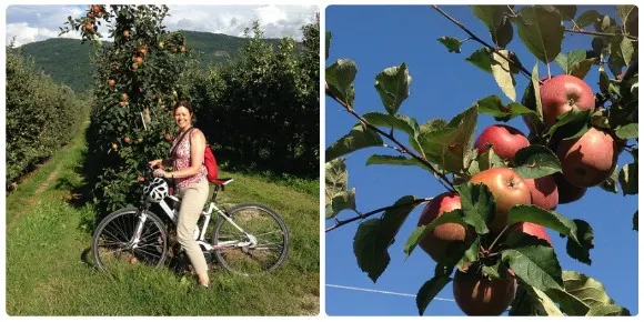 Cycling and wine tasting around Lake Caldaro / Kaltern