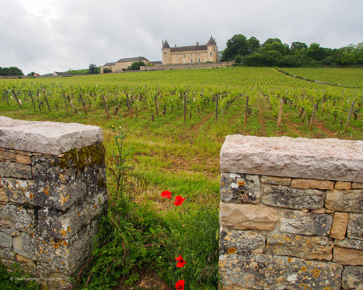 Wine tasting at Chateau Rully near Beaune in Burgundy