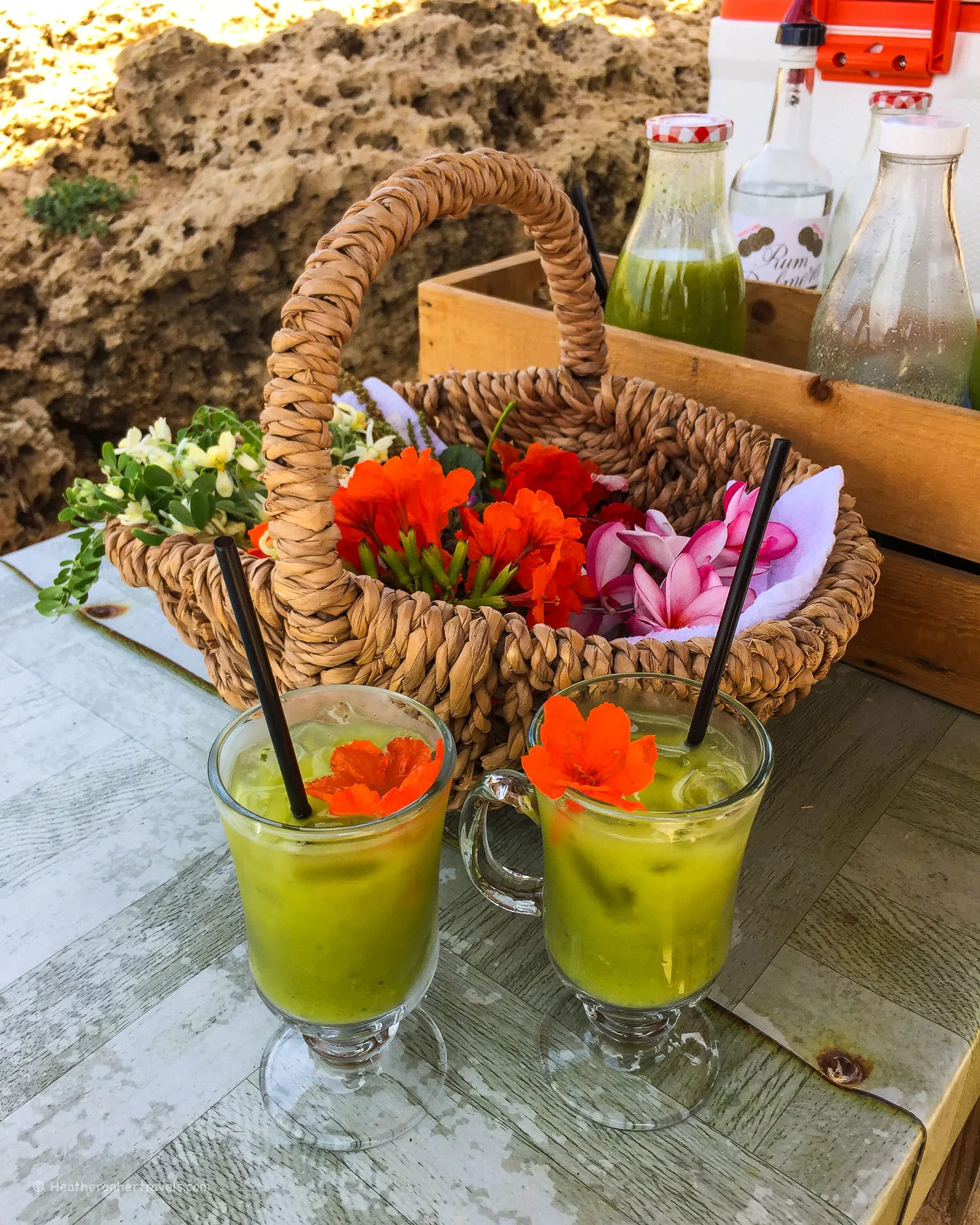 Aruba plants - Foraging on Aruba Photo: Heatheronhertravels.com
