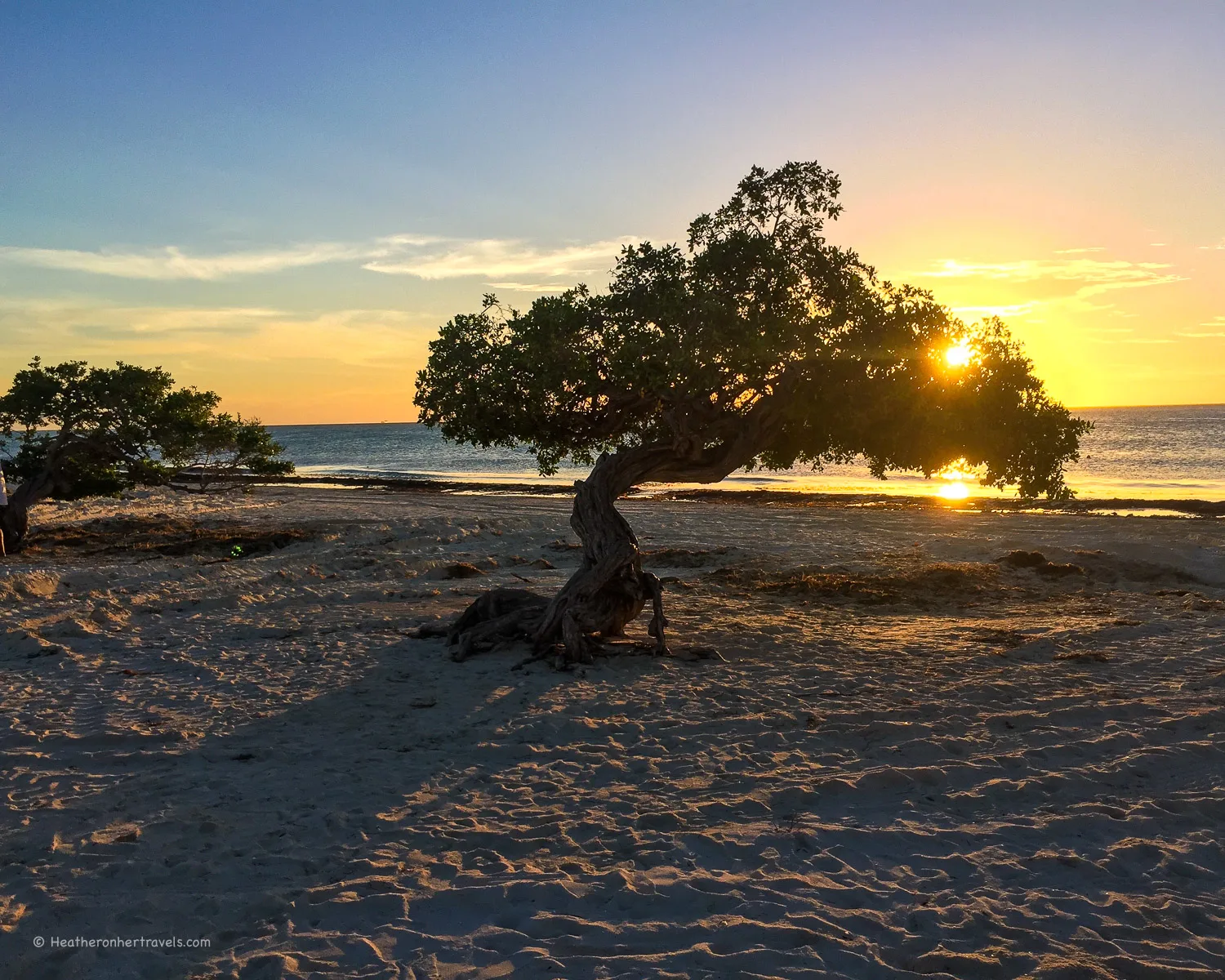 Eagle Beach Aruba Photo: Heatheronhertravels.com