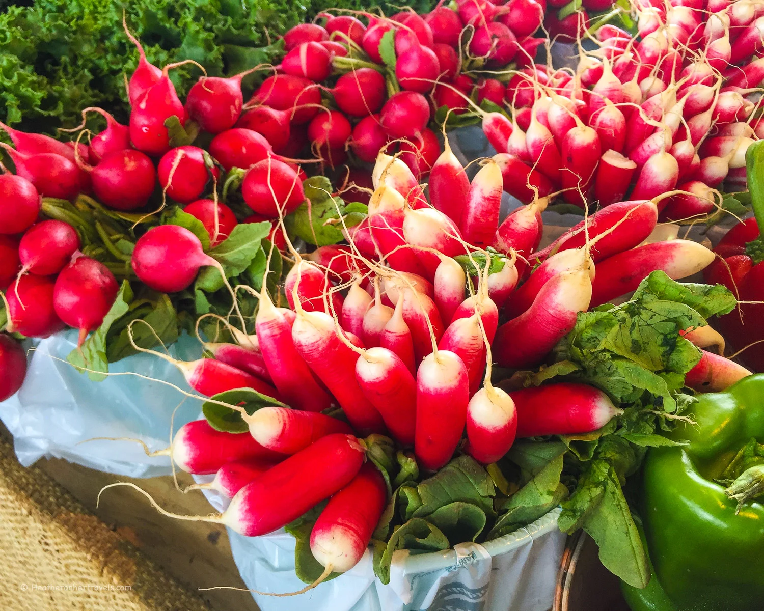 Jean Talon Market in Montreal Photo_ Heatheronhertravels.com