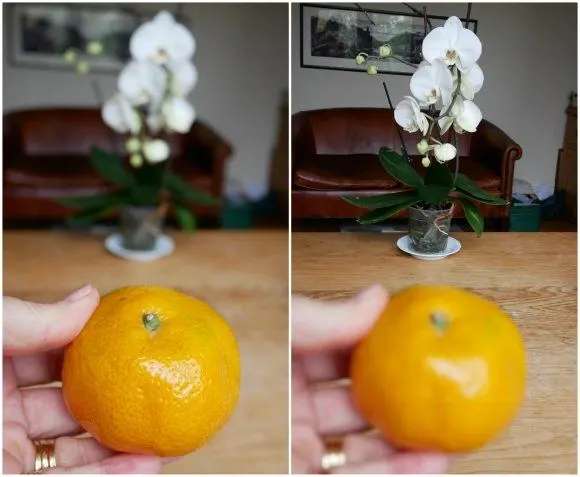 Panasonic Lumix post focus function - Panasonic GX 80 tutorial