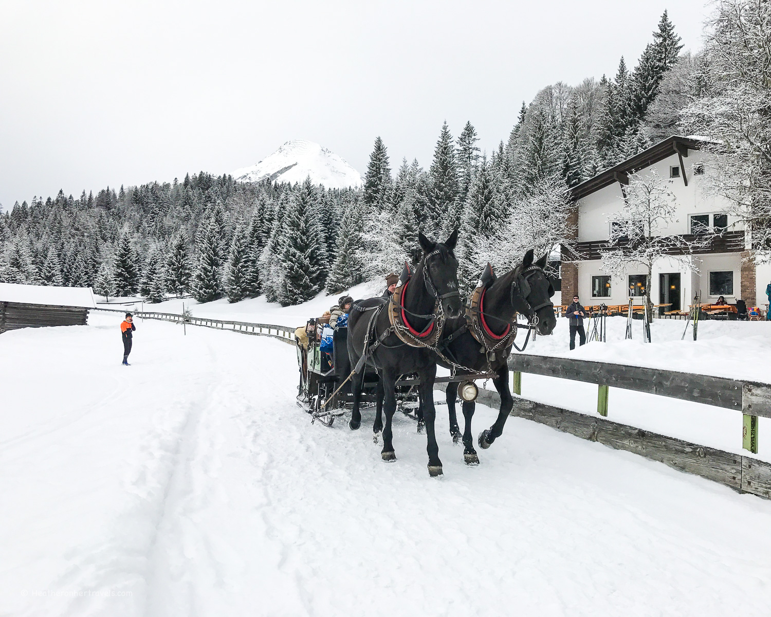 Horse and carriage in Seefeld