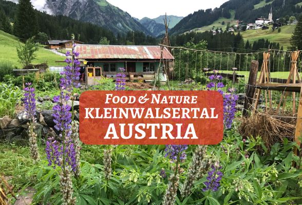 Narandi Permaculture, Kleinwalsertal, Vorarlberg, Austria