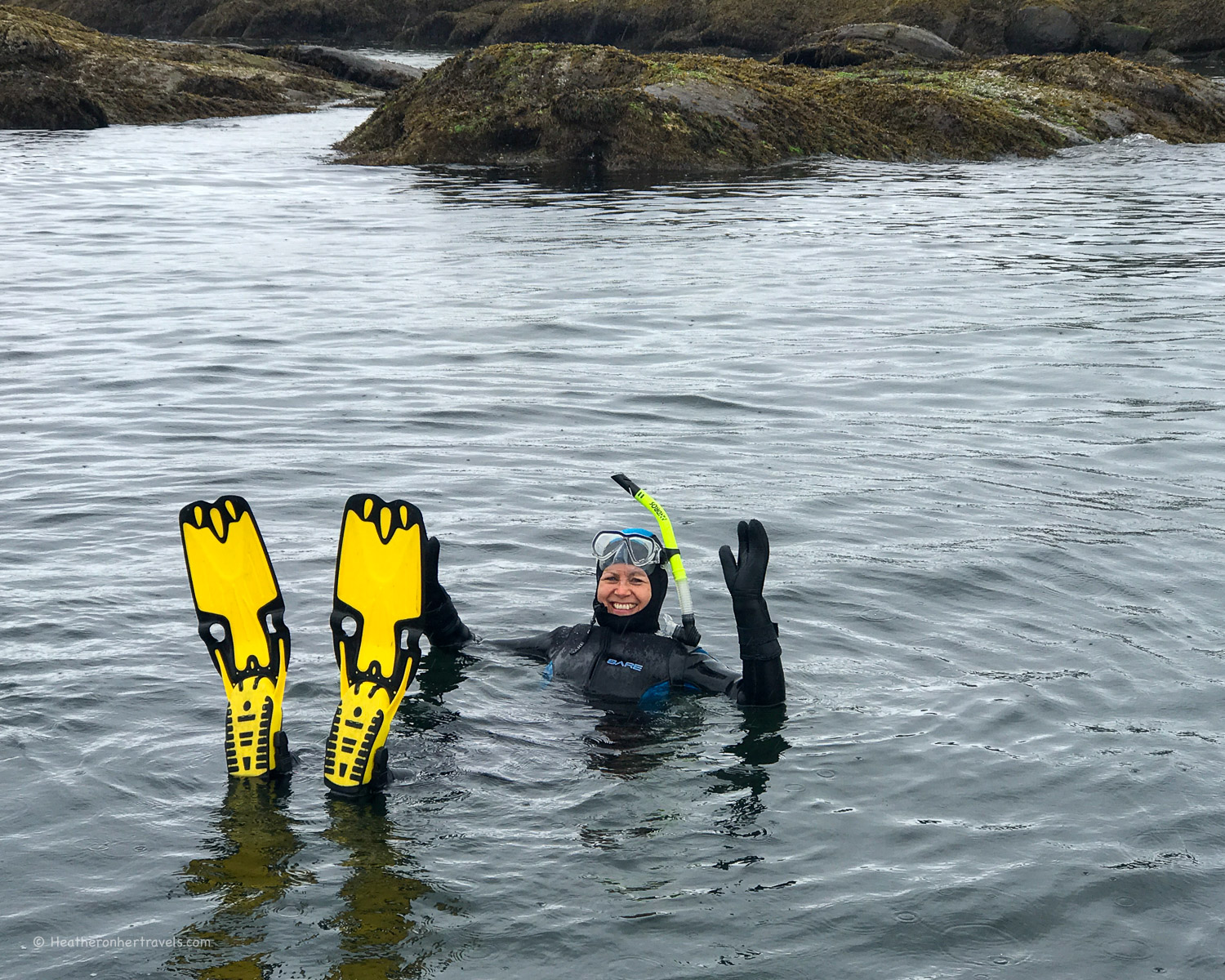 Snorkeling with seals in Nanaimo