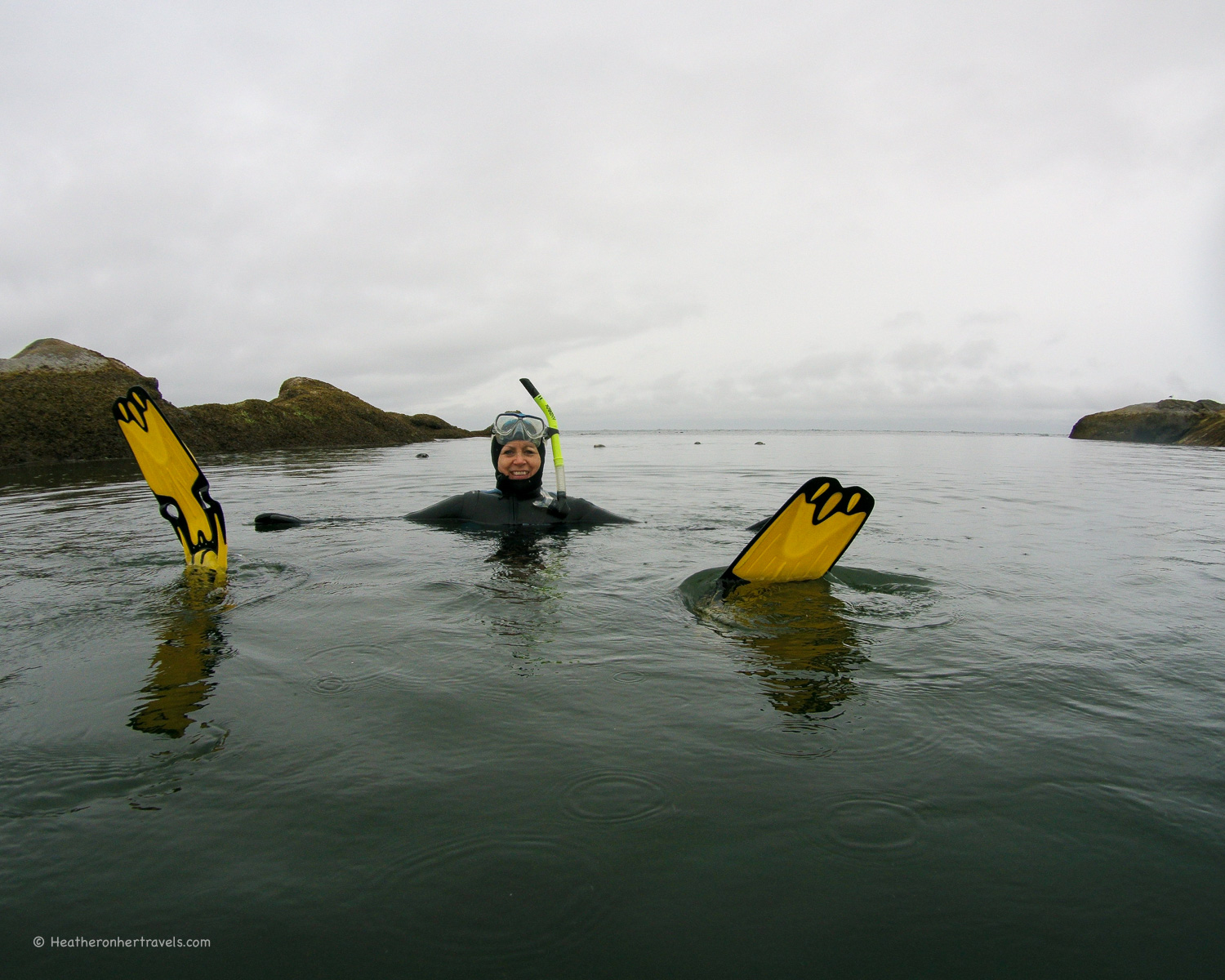 Snorkeling with seals in Nanaimo