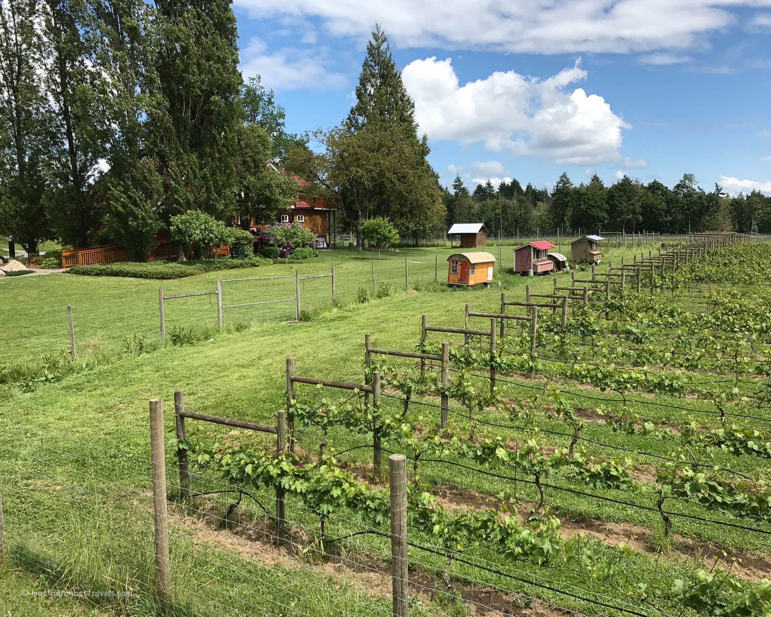 Unsworth winery in Cowichan Valley, Canada