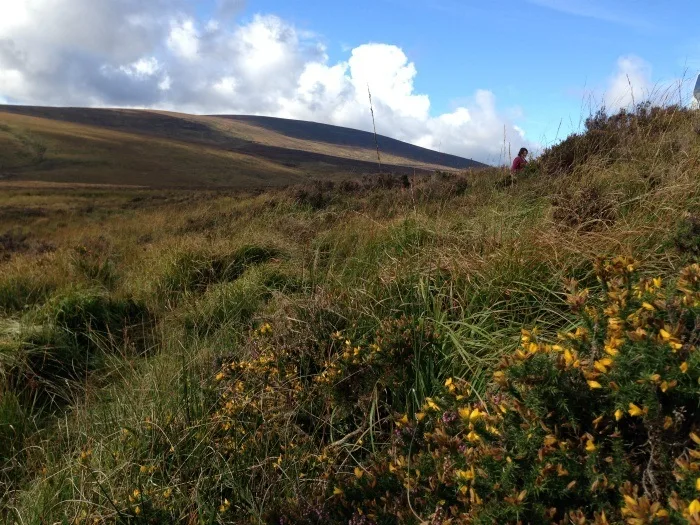 Where was PS I love you filmed? - Sally Gap in Wicklow Ireland - PS I love you film locations photo: Heatheronhertravels.com
