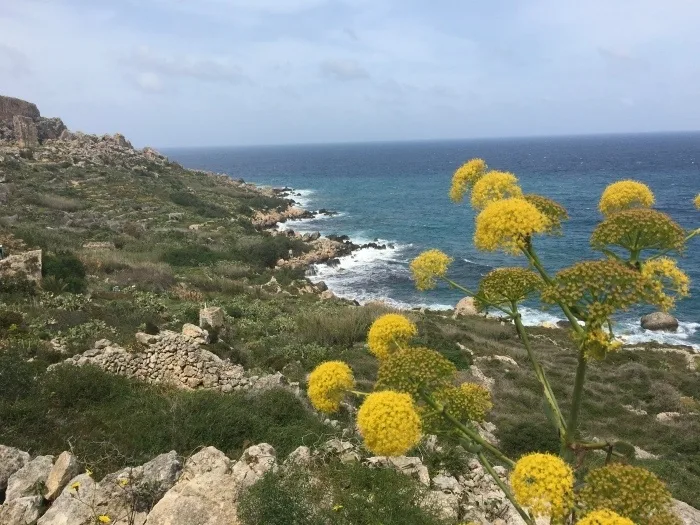 Things to do in Malta