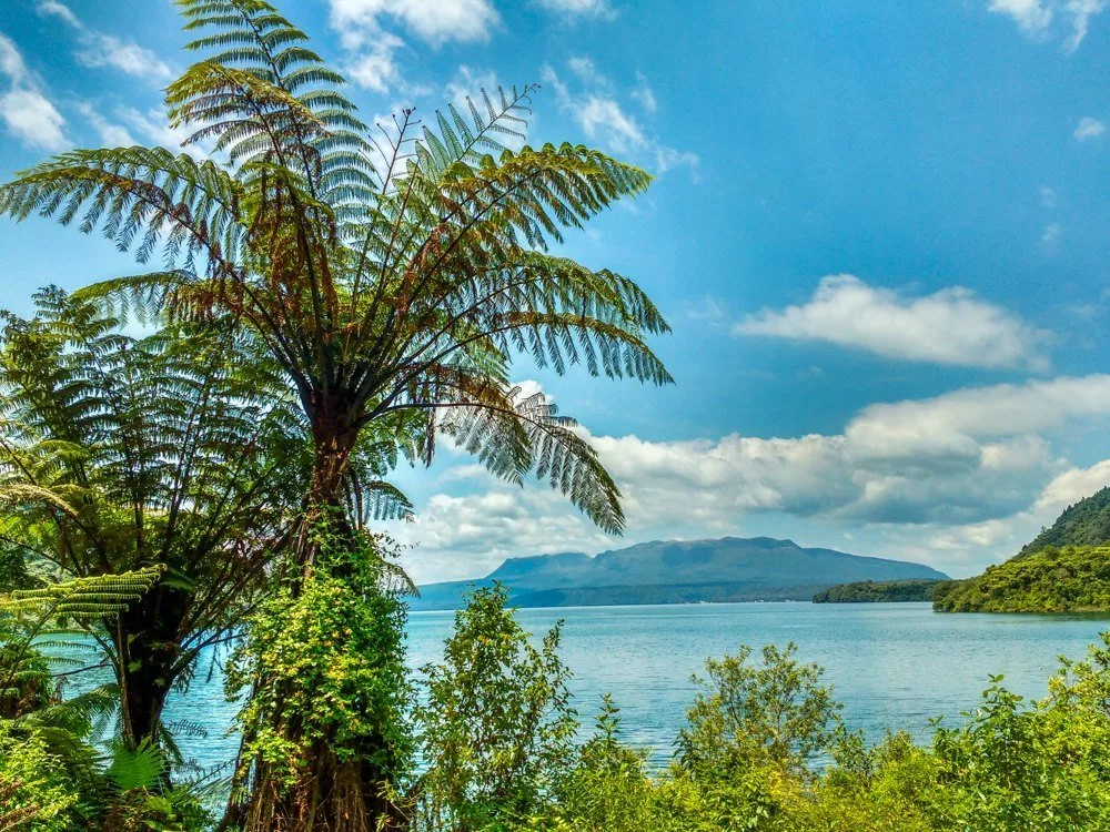 New Zealand North Island Itinerary - Tarawera