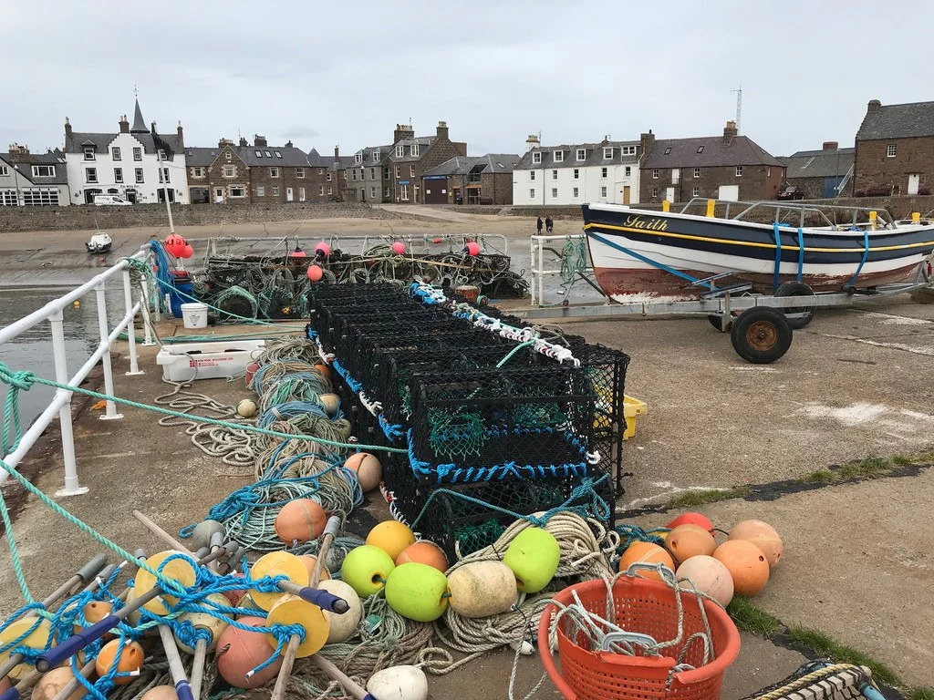 Stonehaven Aberdeenshire 2 - things to do in Aberdeen