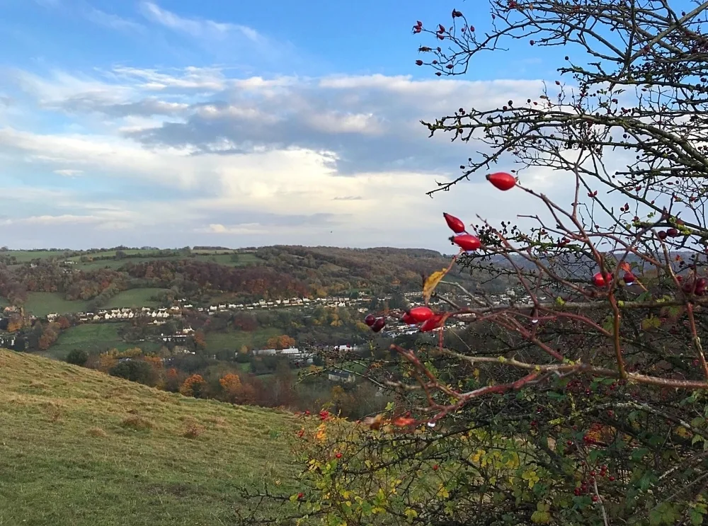 Things to do in Stroud Cotswolds