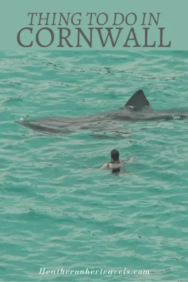 Things to do in Cornwall in Autumn