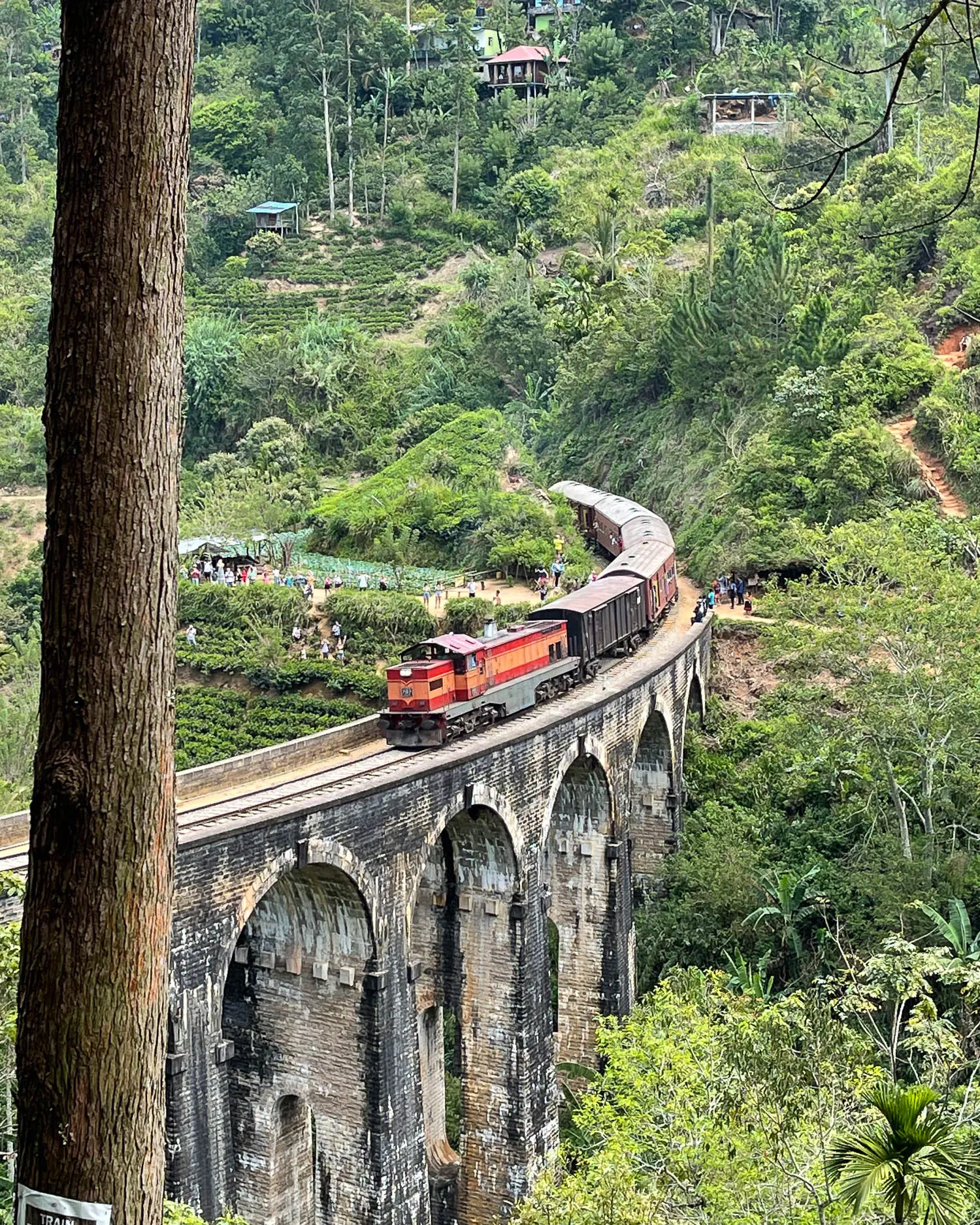 Train in Ella in Sri Lanka