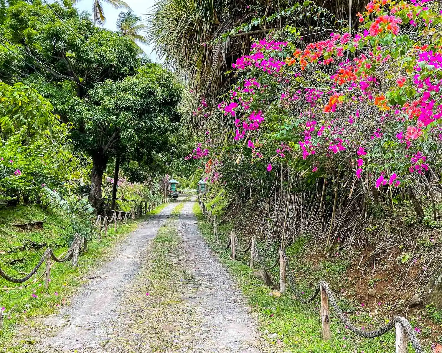 Morne Coubaril Plantation Tour Saint Lucia Photo Heatheronhertravels.com