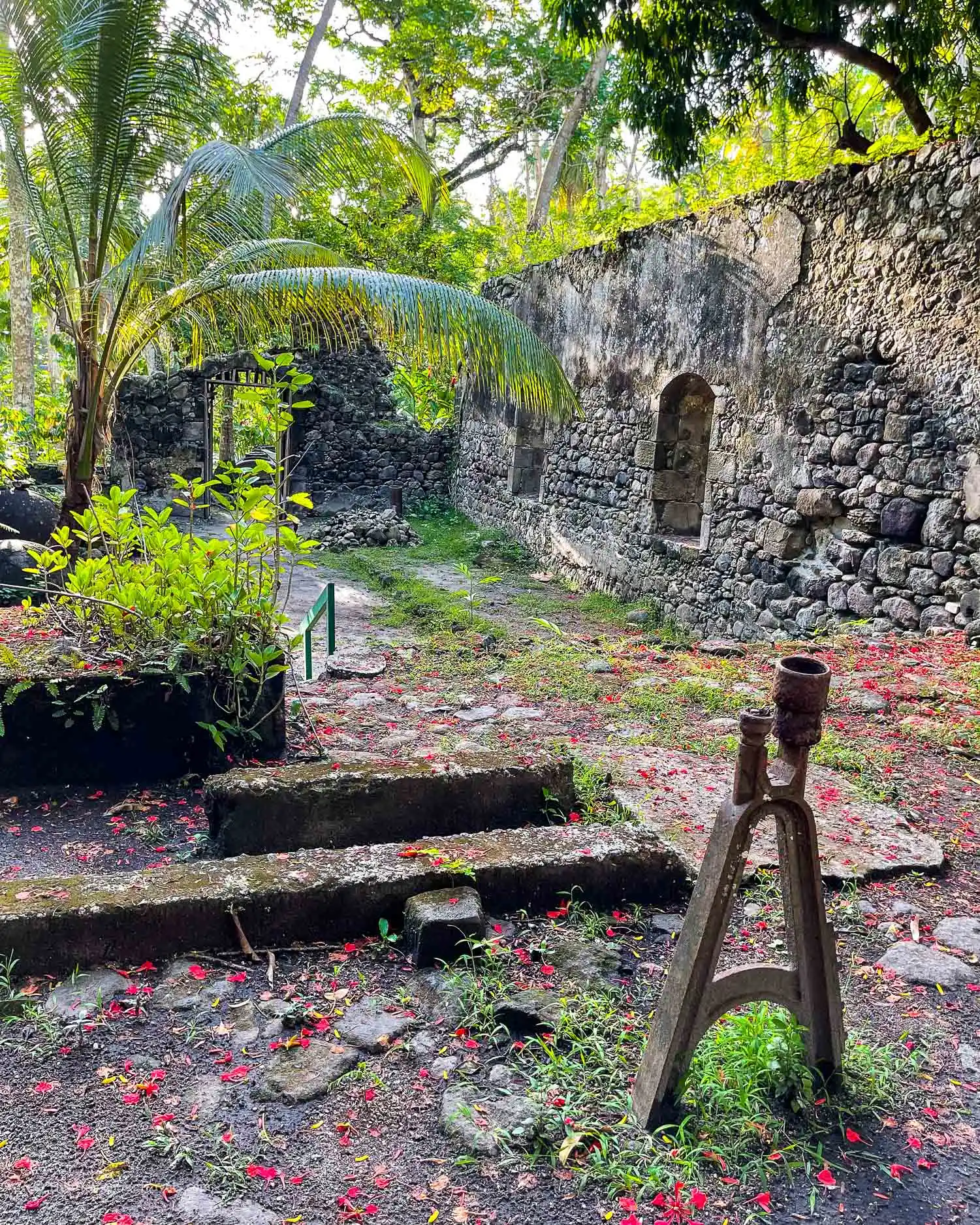 ANSE Mamin Plantation trail Saint Lucia Photo Heatheronhertravels.com-1