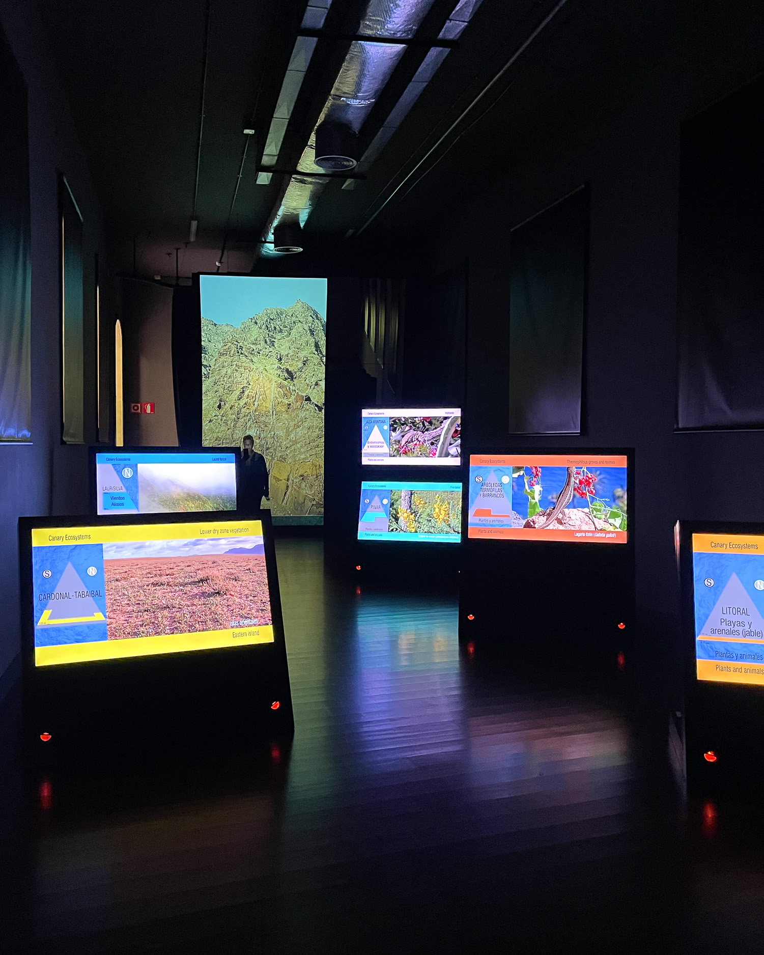 Museum of Natural History and Archaeology Santa Cruz Tenerife Photo Heatheronhertravels.com