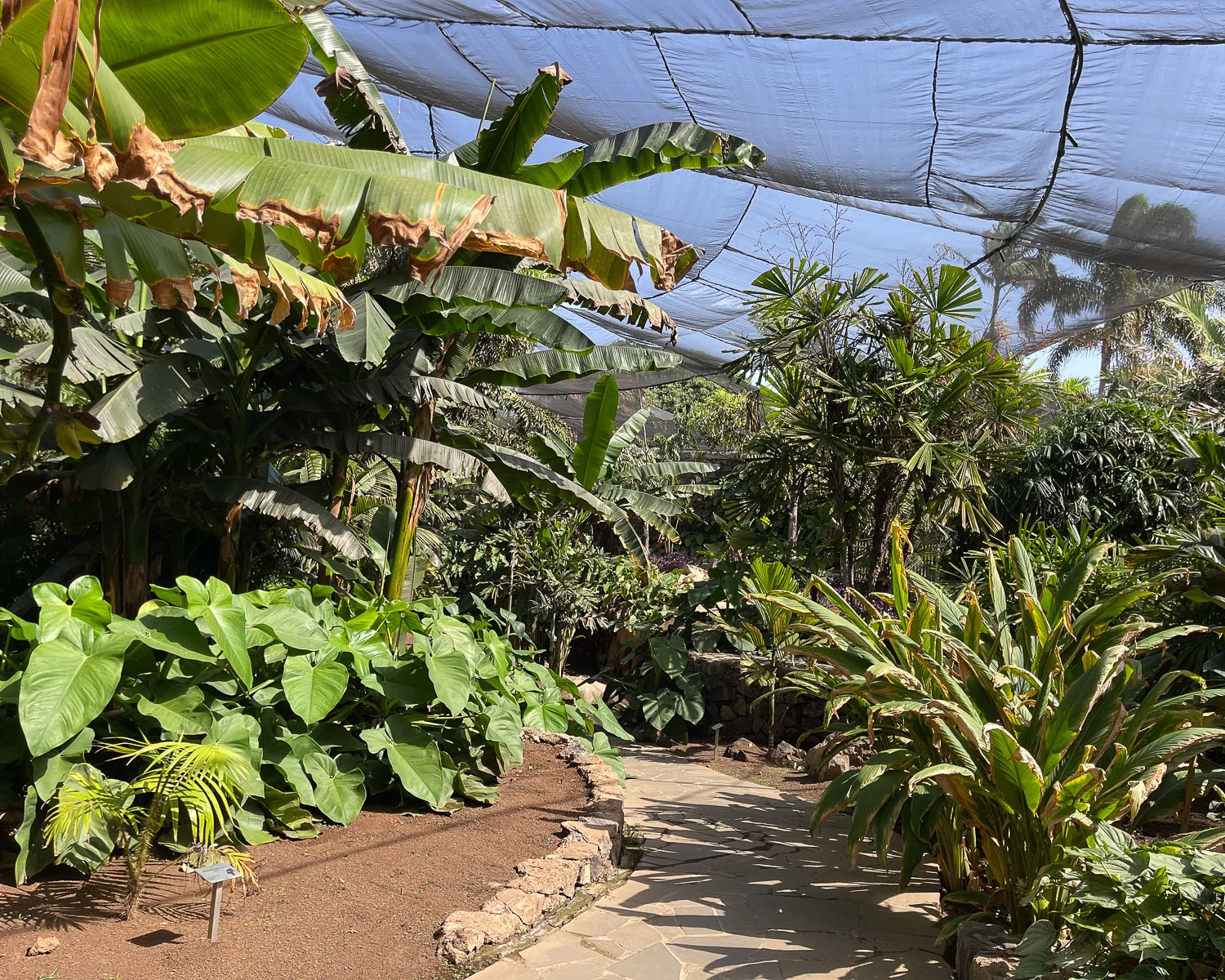 Palmetum Santa Cruz Tenerife Photo Heatheronhertravels.com