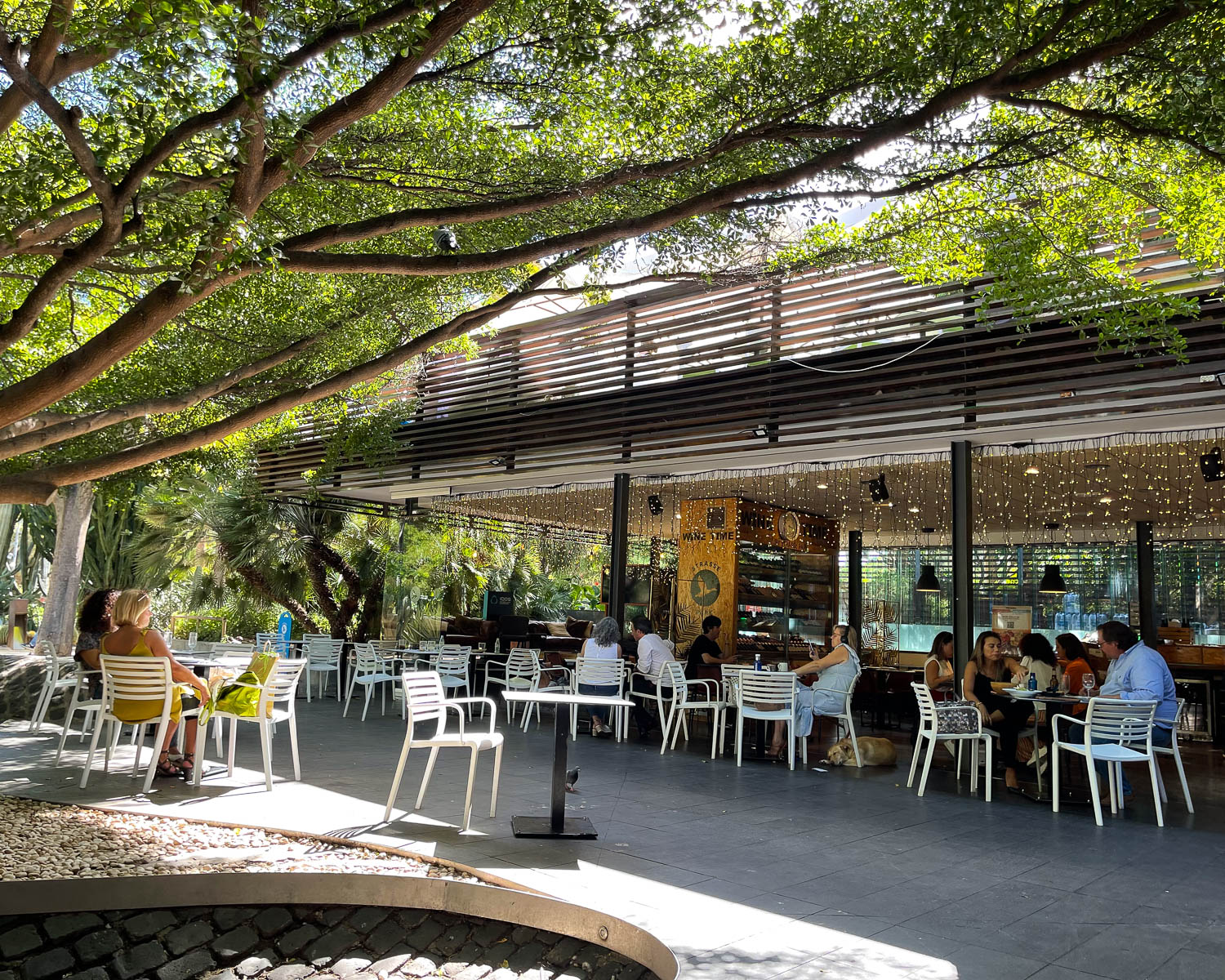 Strasse Park in Parque Garcia Sanabria Santa Cruz Tenerife Photo Heatheronhertravels.com