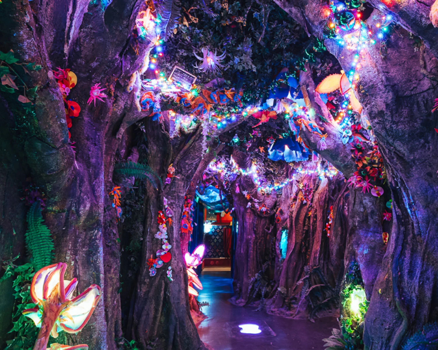 Wake The Tiger Bristol Lights