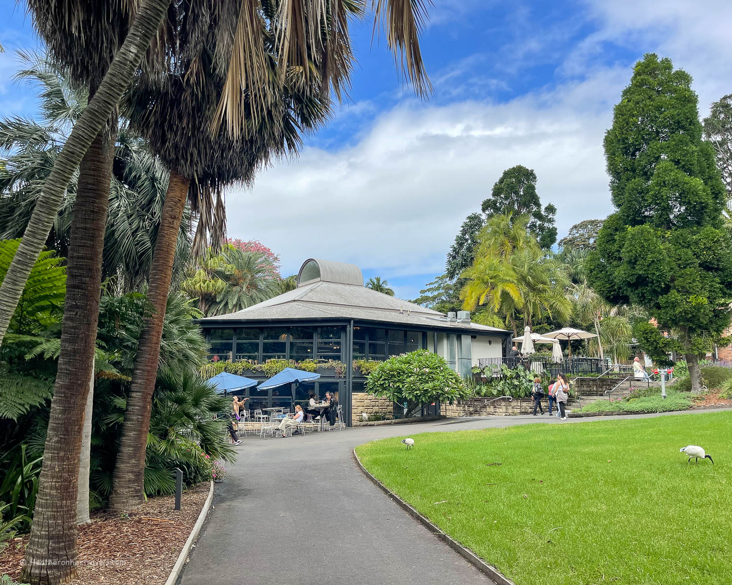 Botanic House restaurant, Botanic Garden Sydney Australia © Heatheronhertravels.com