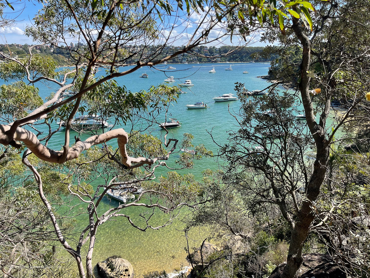 Manly to Spit Bridge Walk Sydney Australia © Heatheronhertravels.com